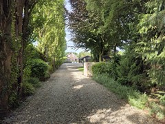 nieuwe buitenfoto's 29-07 (25).jpeg